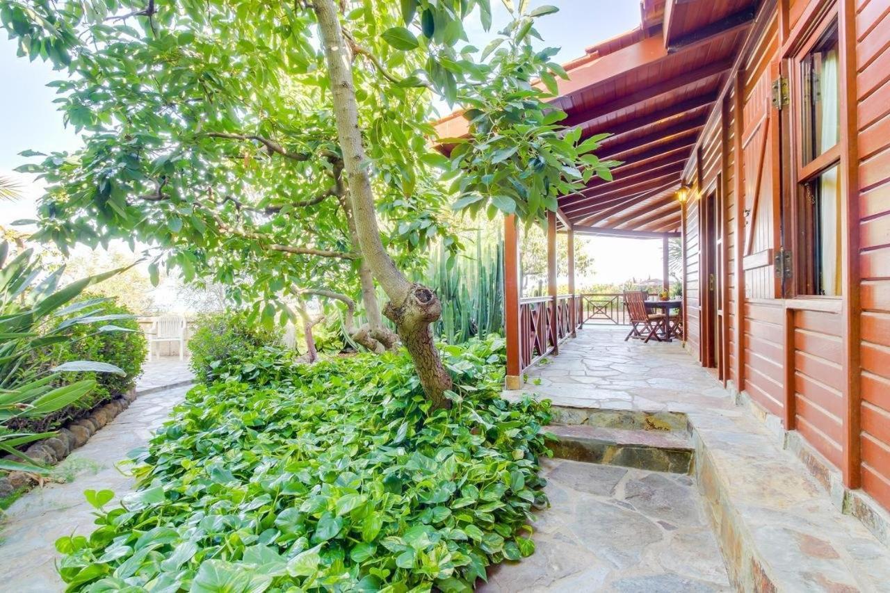 Villa Mimosa Arafo Екстериор снимка